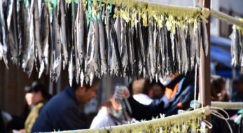 さんま丸干し1,000本ふるまいや、さんま寿しなどが楽しめる「第8回 熊野きのもとさんま祭り」を1/26に開催