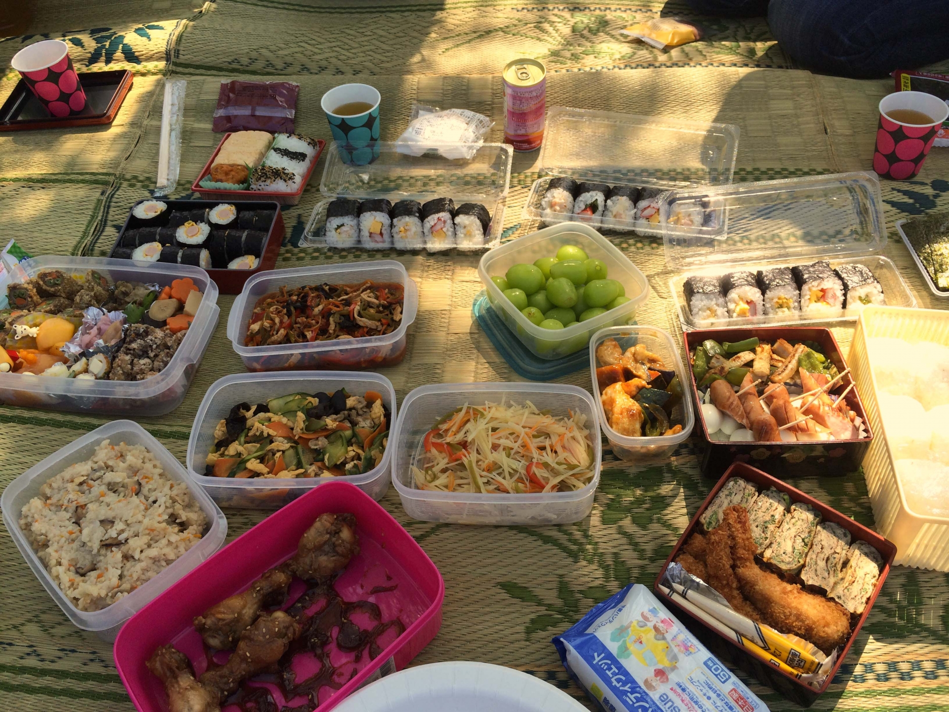 お花見で持ち寄ると喜ばれるグルメは？おすすめをカテゴリー別にご紹介！