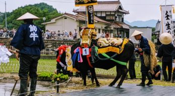 「壬生の花田植」田舎の景色と華やかな飾牛｜観光経済新聞