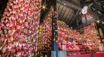 日本一の118段「素盞鳴神社雛段飾り」 伊豆稲取温泉にて3月10日まで開催