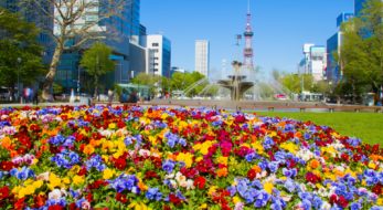 北海道で満開の花々を楽しむならココ！フラワーフェスティバル厳選5選
