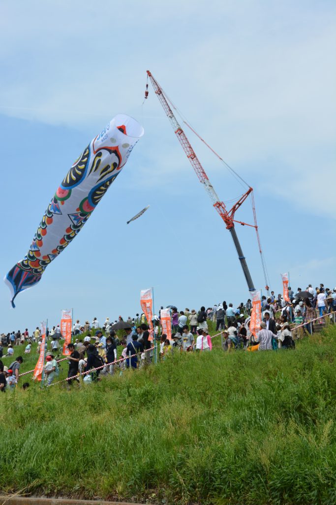 【ジャンボこいのぼり】クレーン車につられ利根川の上空で風に舞う日本一大きなこいのぼり