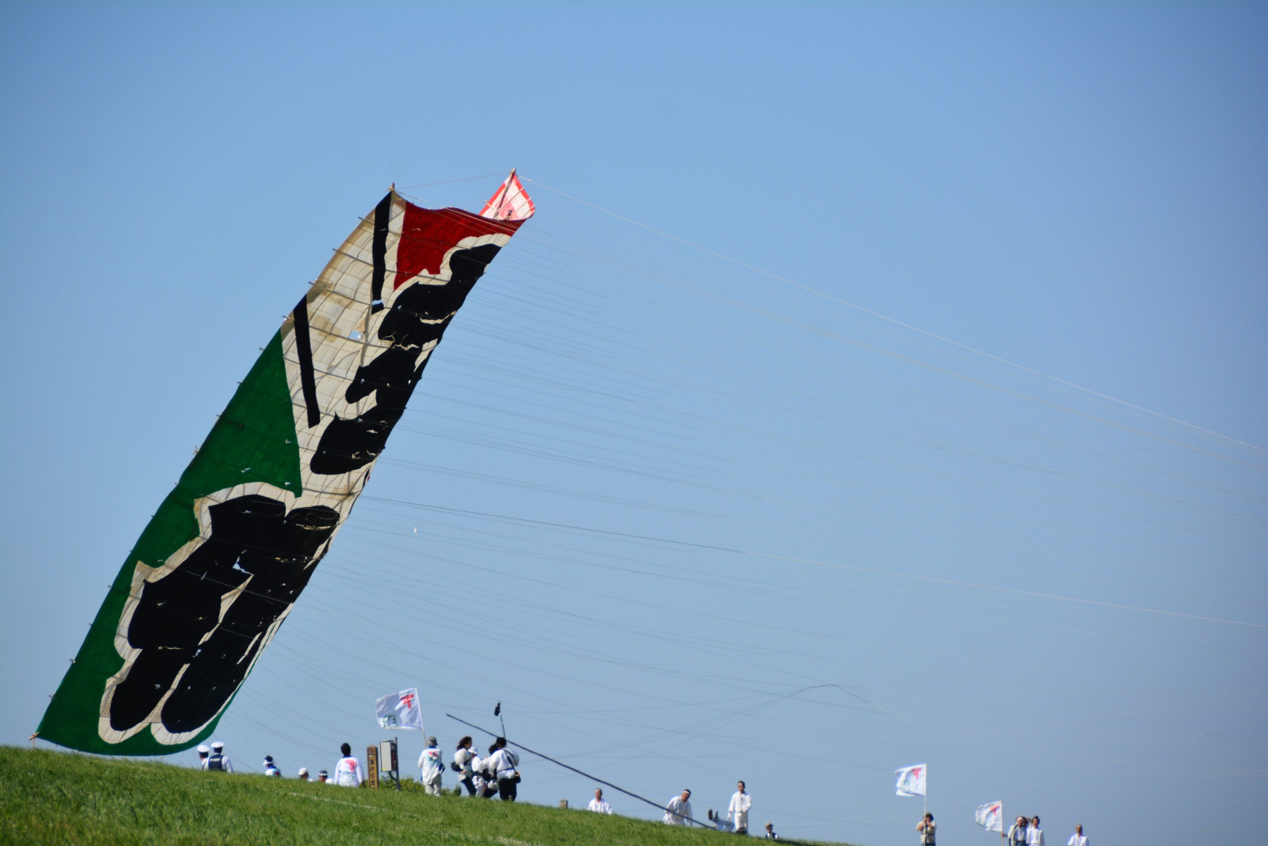 2023年G.W5月3日開催【春日部大凧あげ祭り】日本一の大凧登場