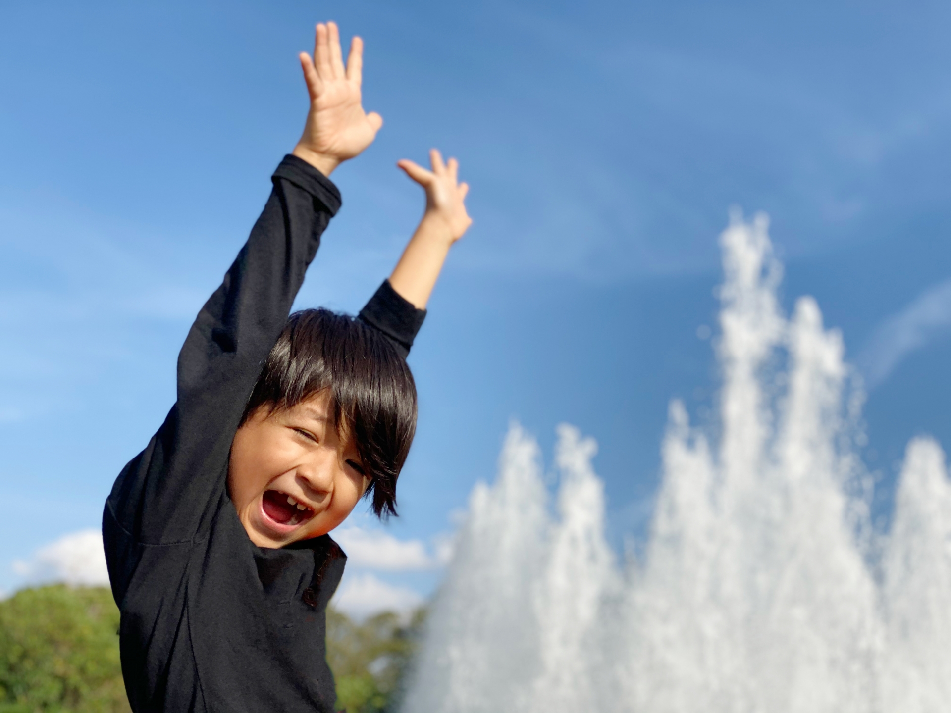 お花見で盛り上がるゲームとは？厳選した5つをご紹介！