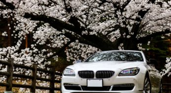 日帰りドライブで行ける関東のフラワーフェスティバル！厳選した5つをご紹介