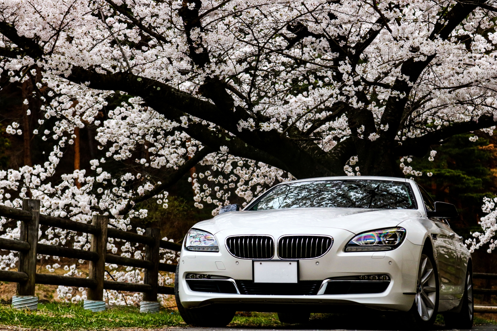 日帰りドライブで行ける関東のフラワーフェスティバル！厳選した5つをご紹介