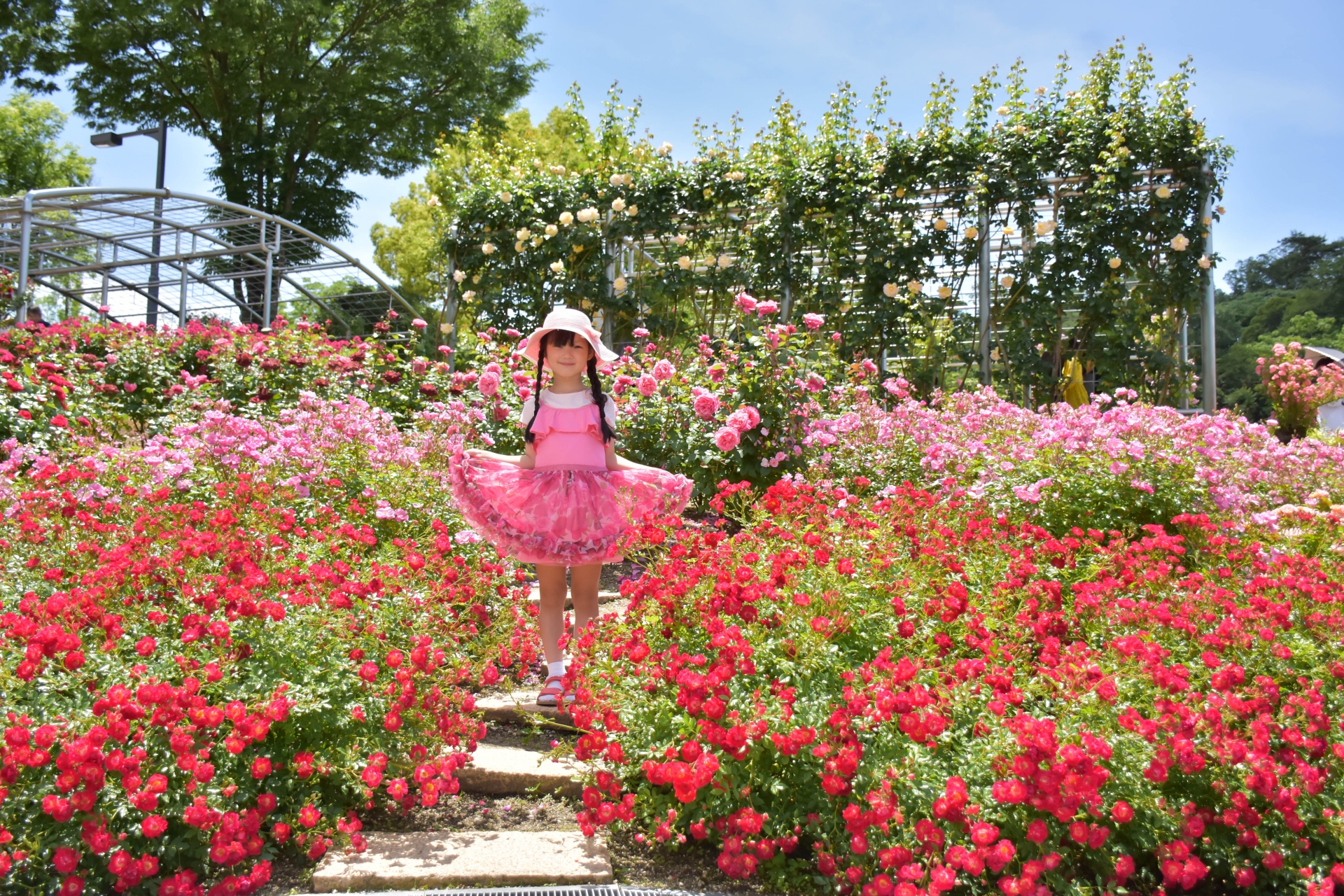 バラが楽しめるフラワーフェスティバル5選！コロナ明けはバラを楽しもう！