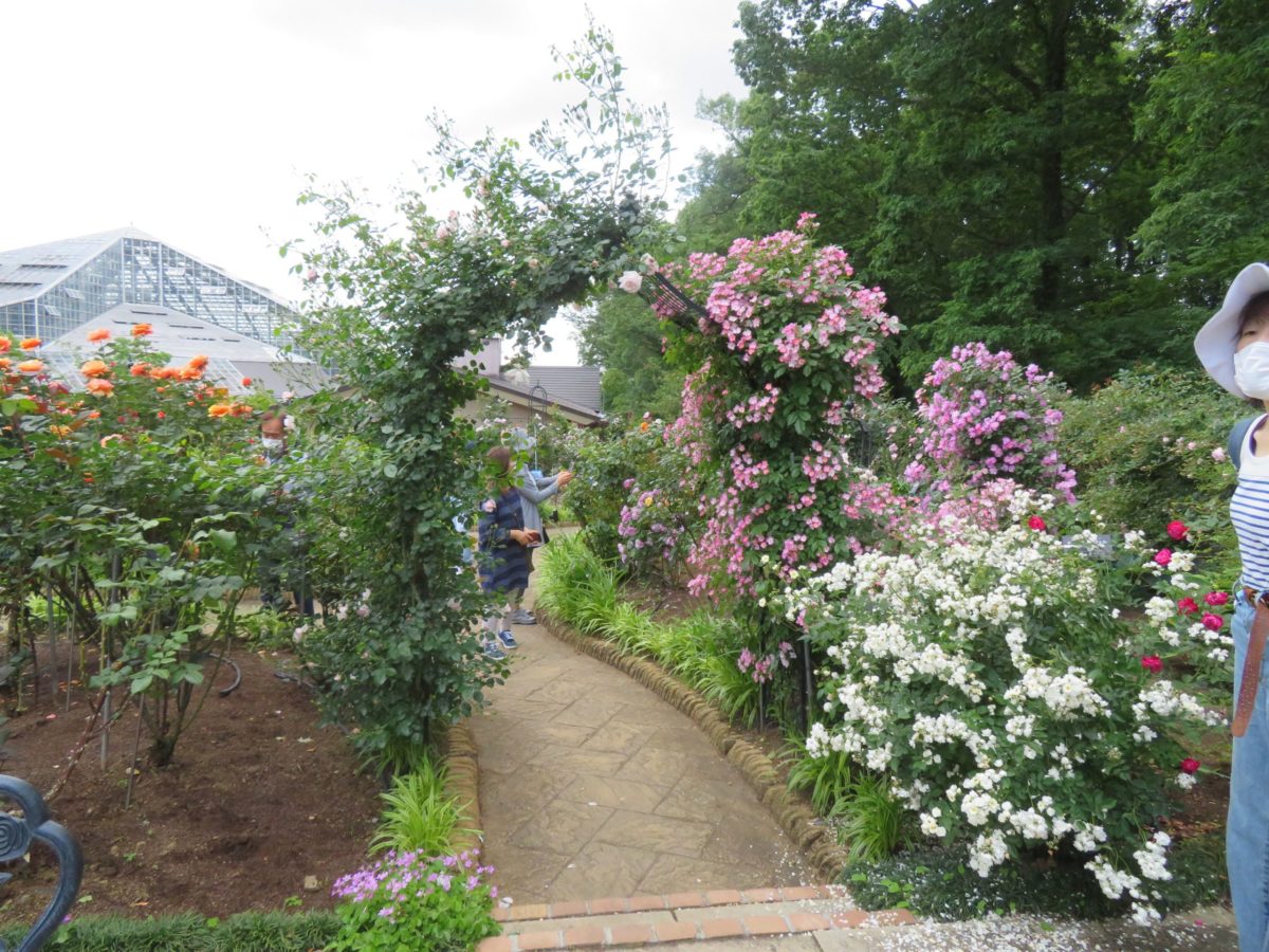 とちぎ花センター・ローズフェスタが開催中！450種類のバラを楽しもう