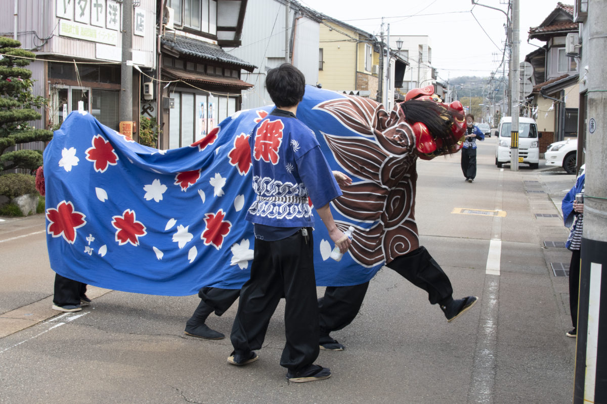 日本の獅子舞はどこから伝わった？歴史と古来の獅子舞を伝える祭りや場所を紹介