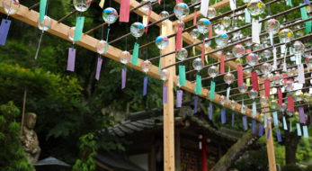 「正寿院 風鈴まつり」京都の風鈴寺に宇治茶バスで一日観光