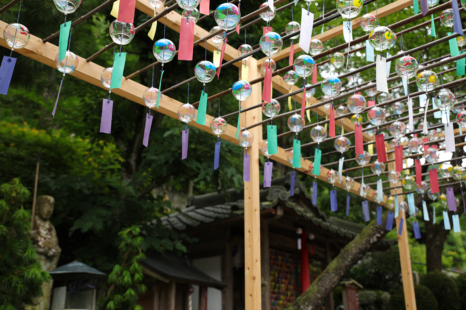 「正寿院 風鈴まつり」京都の風鈴寺に宇治茶バスで一日観光