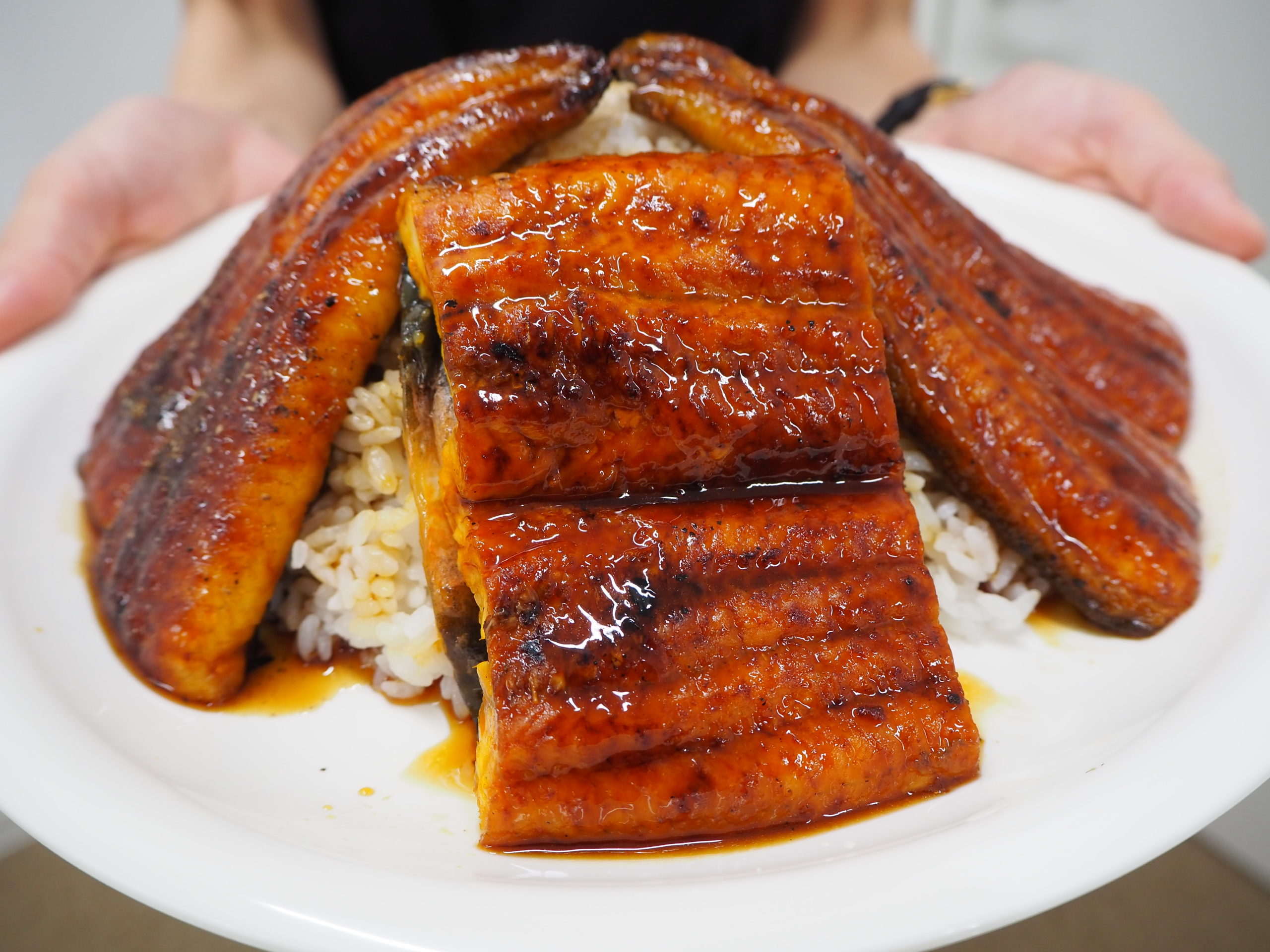 松屋のうなぎ！うな丼・鰻バーガーを実食レポ！2020年版