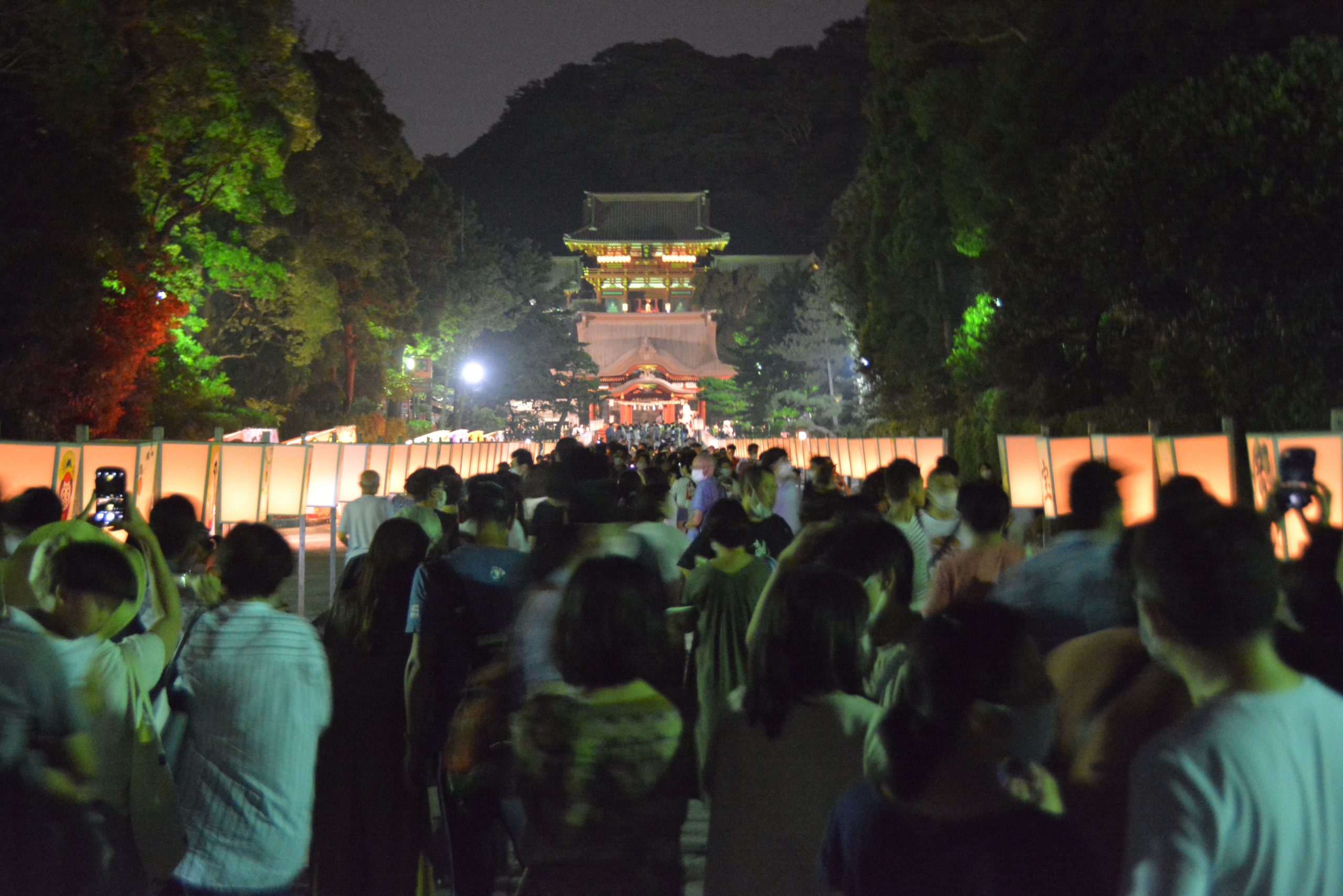 古都・鎌倉の風物詩！「ぼんぼり祭」は8月7日から！立秋に夢幻の灯りで照らされる鶴岡八幡宮