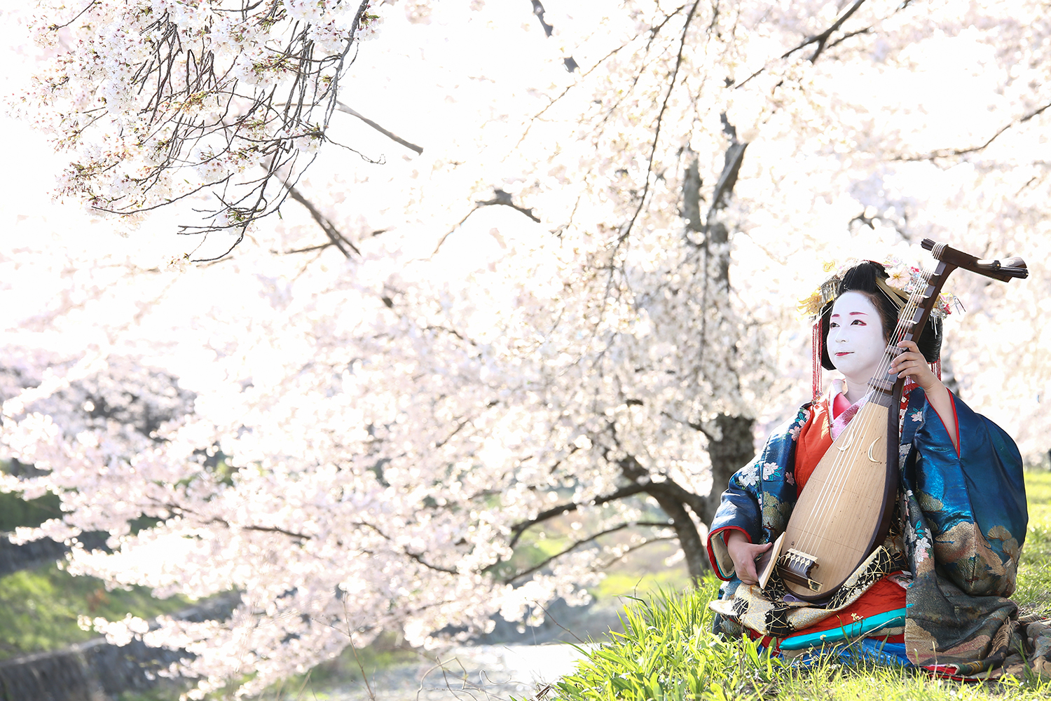 新選組がご贔屓さん！京都「島原太夫」の未来とは