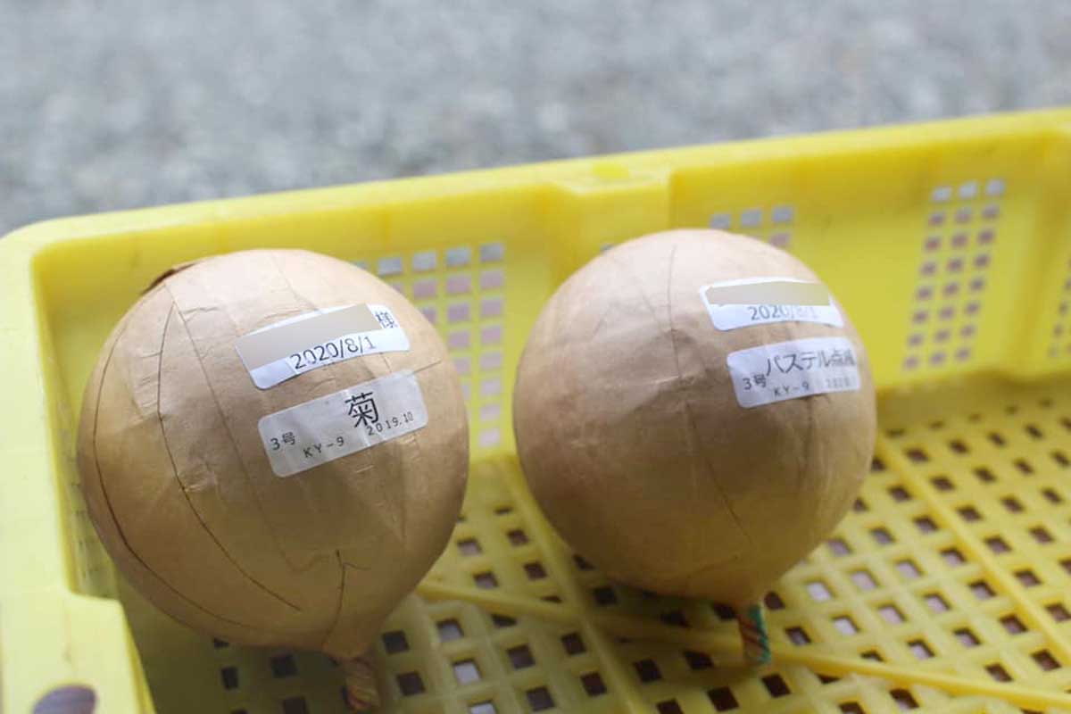 マルゴーの花火師さんに会いに行こう！セミオーダー花火を打ち上げられるバスツアーをご紹介！