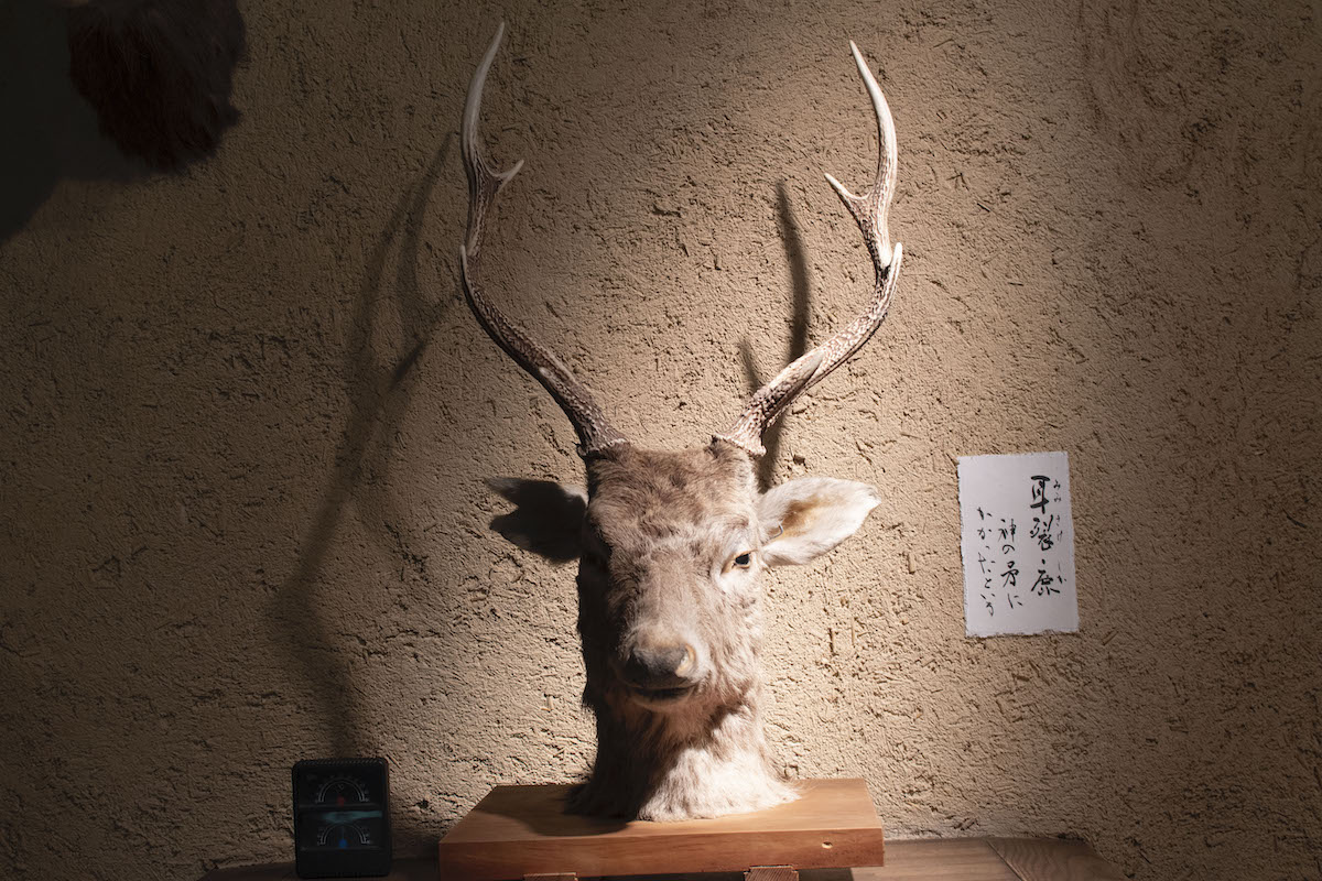 鹿の頭を生贄に！？長野・諏訪の御頭祭について知るために神長官守矢史料館へ