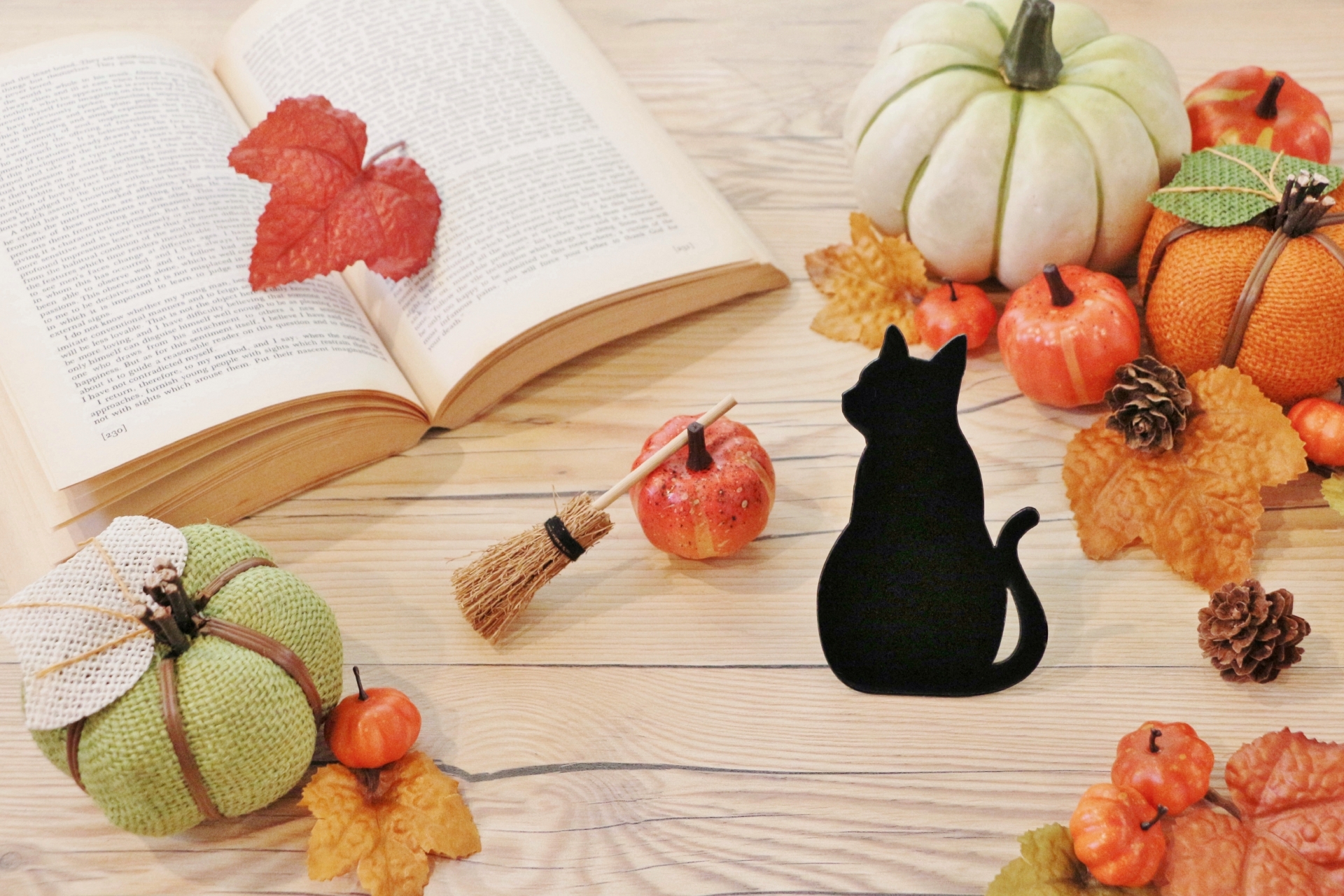 ハロウィンに読み聞かせたい！新作から定番までおすすめの絵本5選！