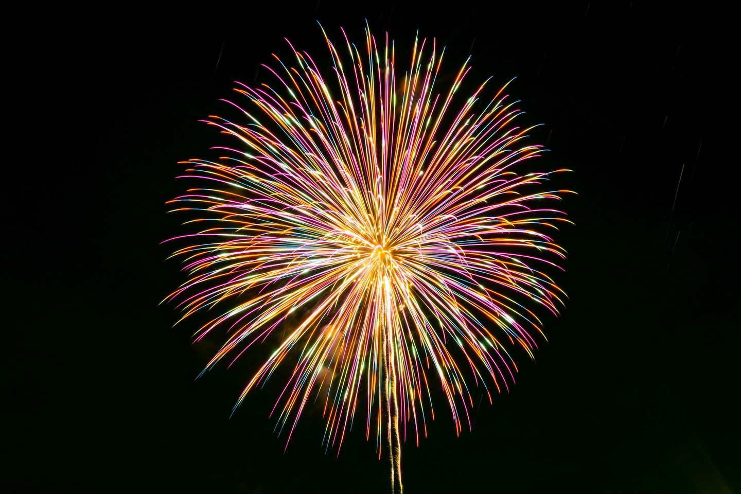 金沢まつり｜PR・サプライズ打ち上げ花火！in ブランチ横浜南部市場