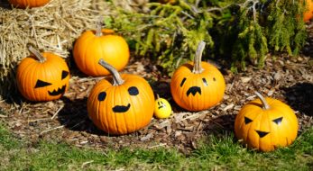 まるでハロウィン？関係ない？日本のかぼちゃ祭り6選！