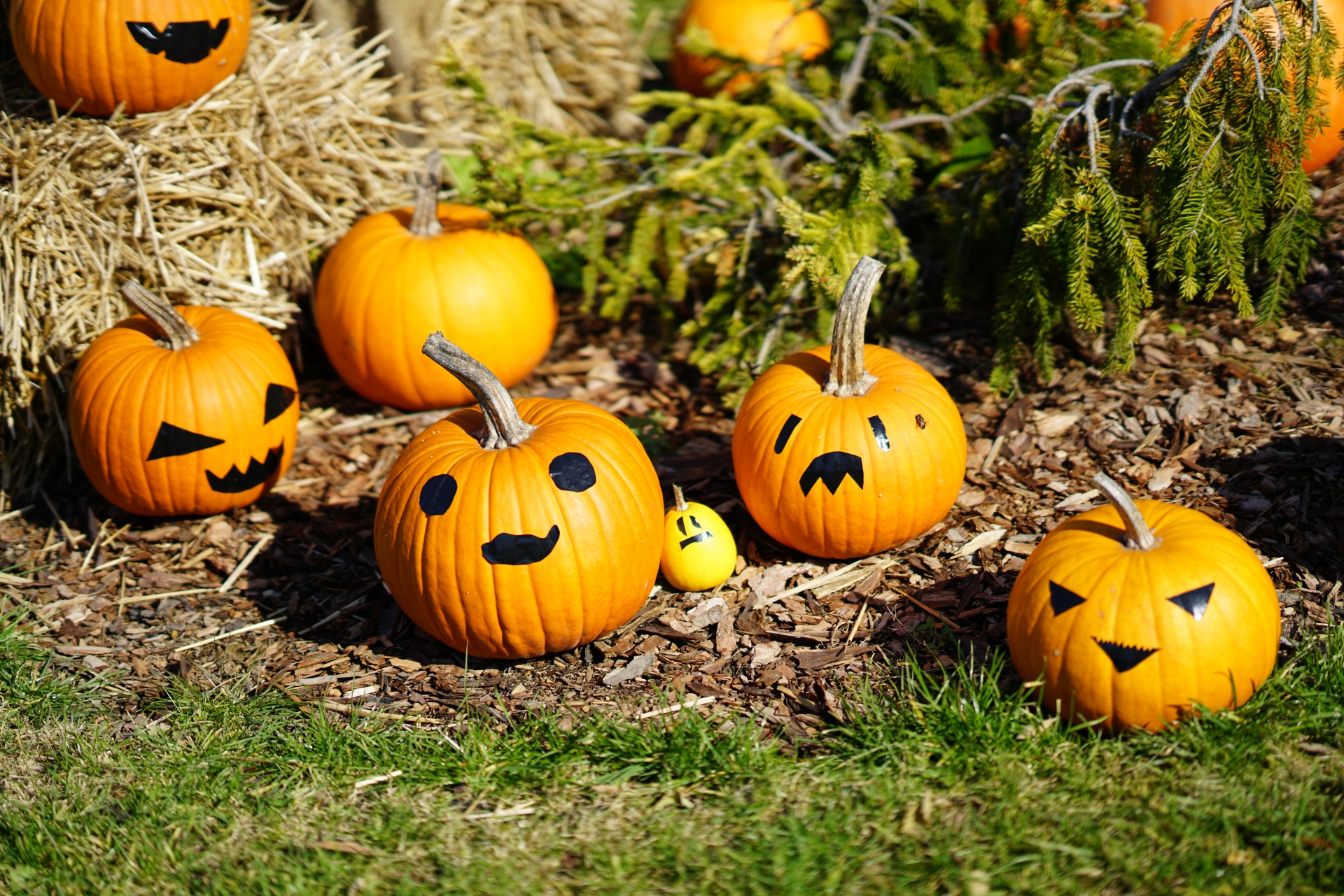 まるでハロウィン？関係ない？日本のかぼちゃ祭り6選！