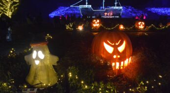 埼玉のハロウィンはスケールでかい！2023年森林公園「森のハロウィンナイト」！ランタンの光が魅惑的！