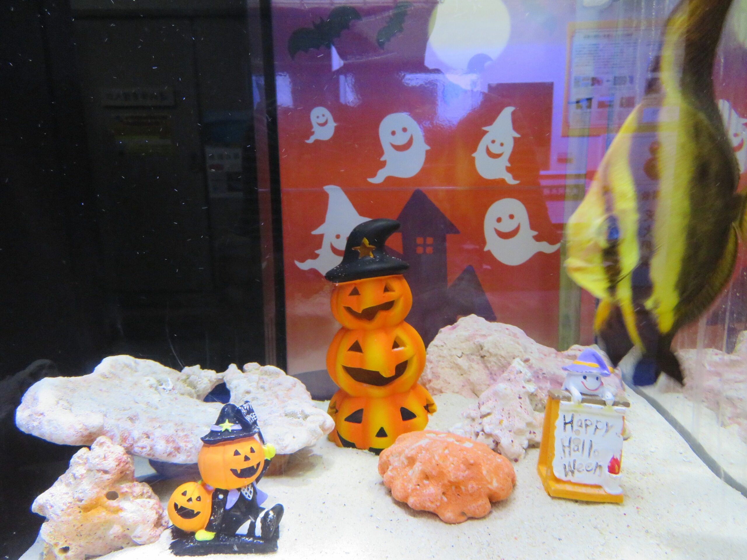 【ハロウィン・アクアリウム】ヨコハマおもしろ水族館で仮装を楽しむ魚