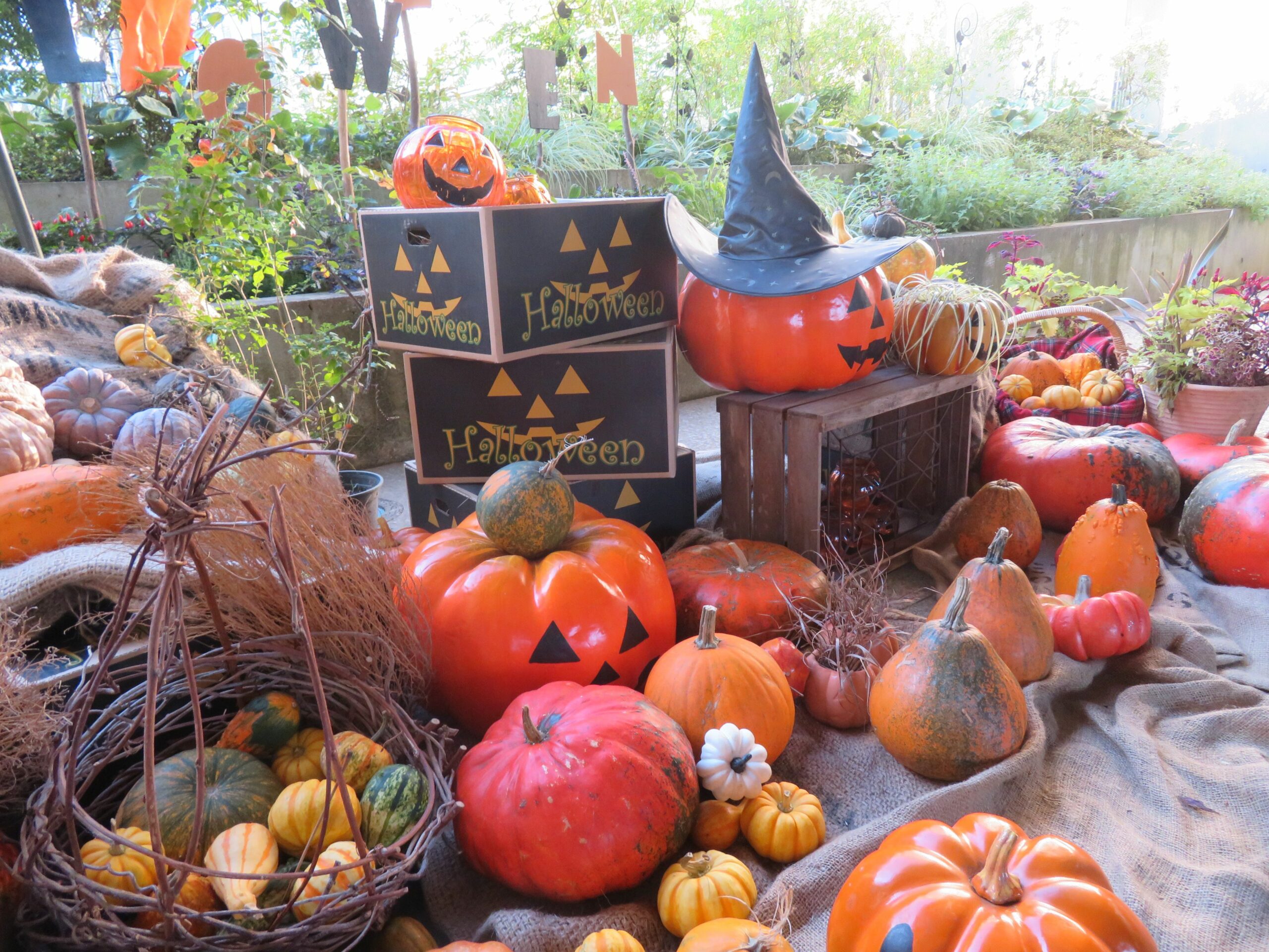 【ハッピーハロウィン】三陽メディアフラワーミュージアムの個性的な装飾