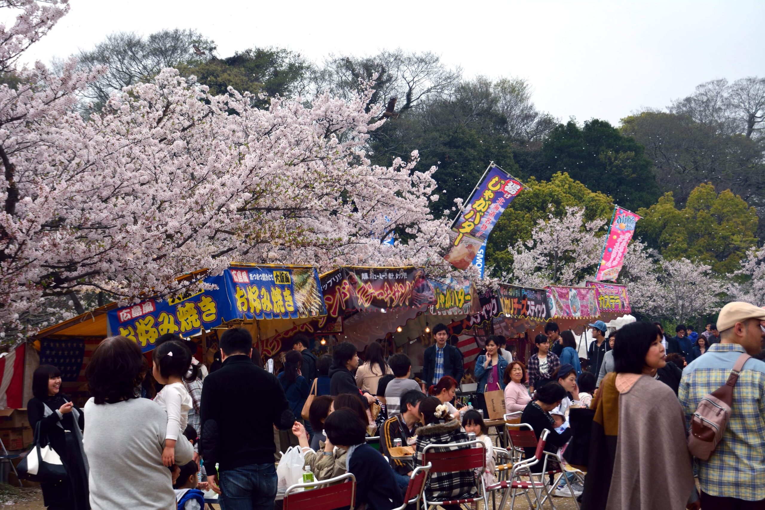 テキ屋を続けて祖父の代から60年！あなたの知らないテキ屋の世界！