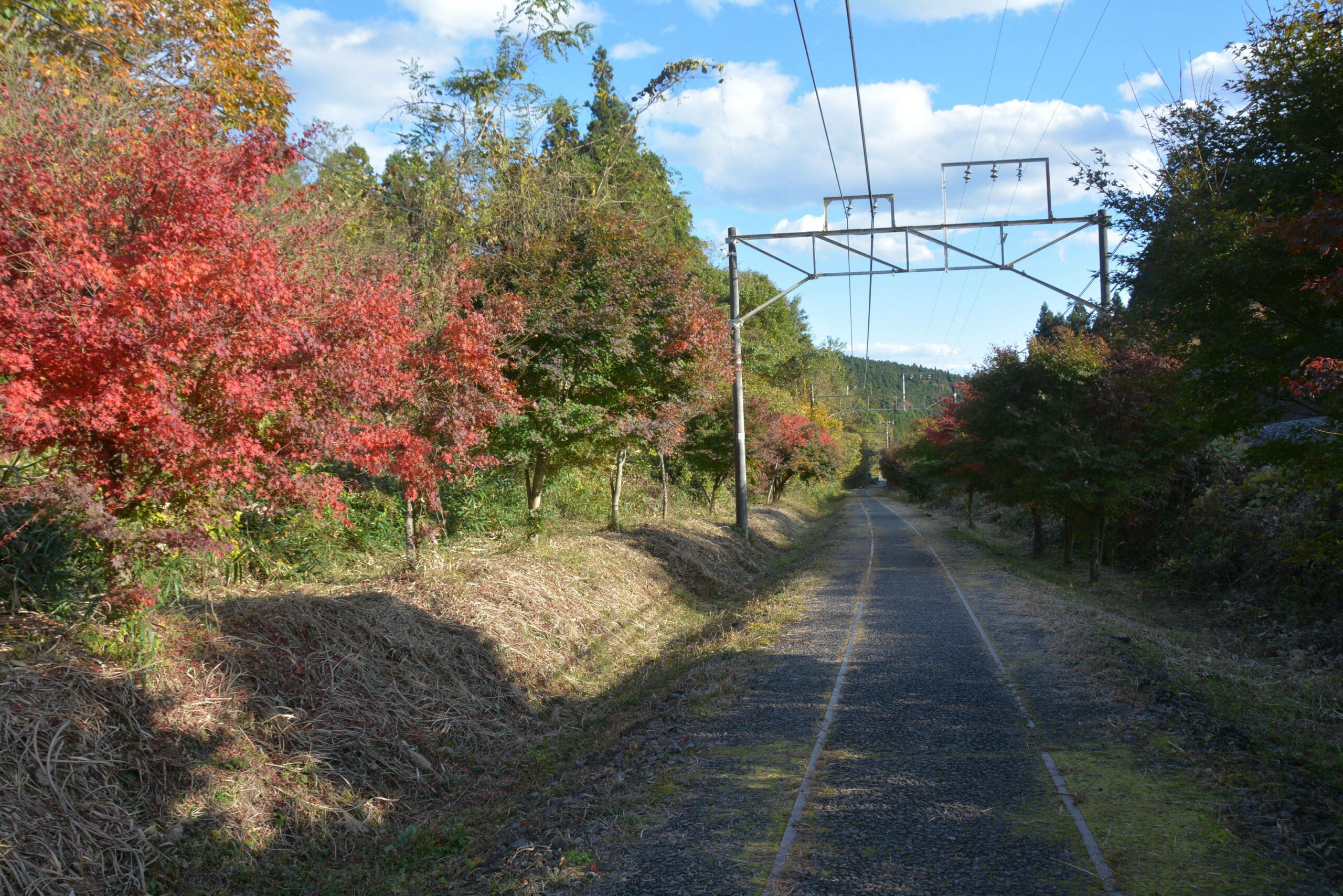 【碓氷峠の紅葉】信越本線跡のアプトの道をハイキングしながら口ずさむ童謡