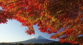 第22回 富士河口湖紅葉まつり｜富士河口湖町で11月7日から開催