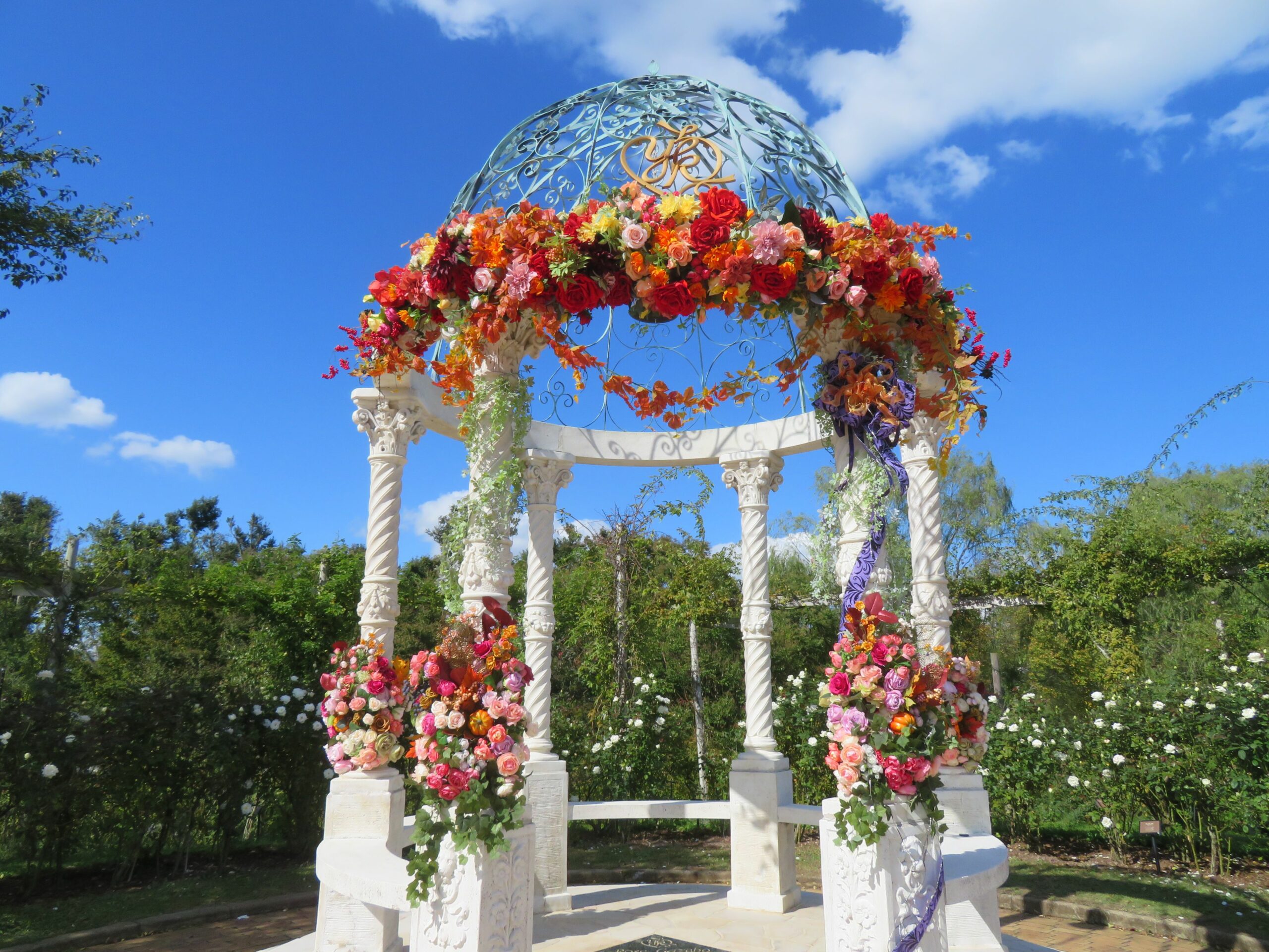 【オータムローズパーティー】ディズニーやベルばらが演出する京成バラ園