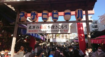 浅草酉の市 - 二の酉 縮小開催でも勢い衰えず！！-