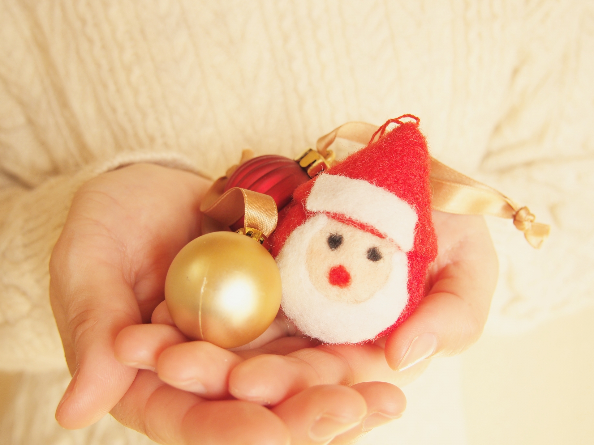 今年はおうちクリスマス！家族と一緒に豪華なホームパーティーで楽しもう！