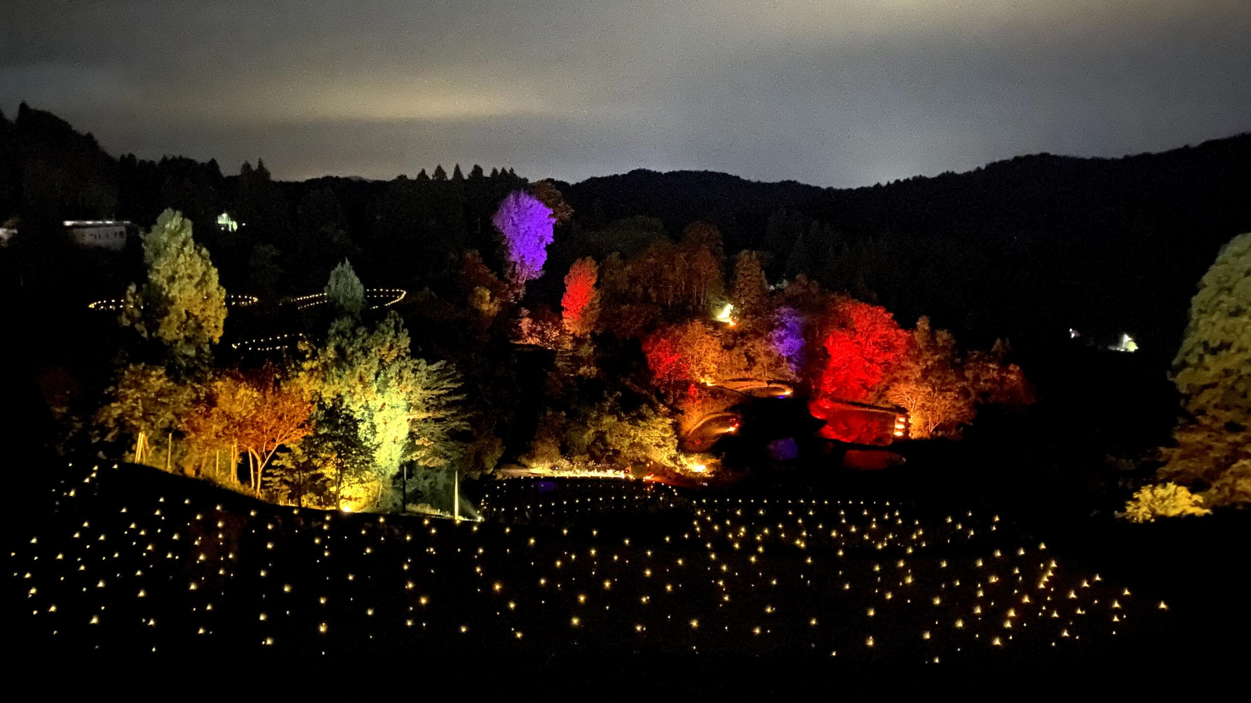 【山古志 棚田・棚池あかり】幻想的なライトアップの映える撮り方とは？