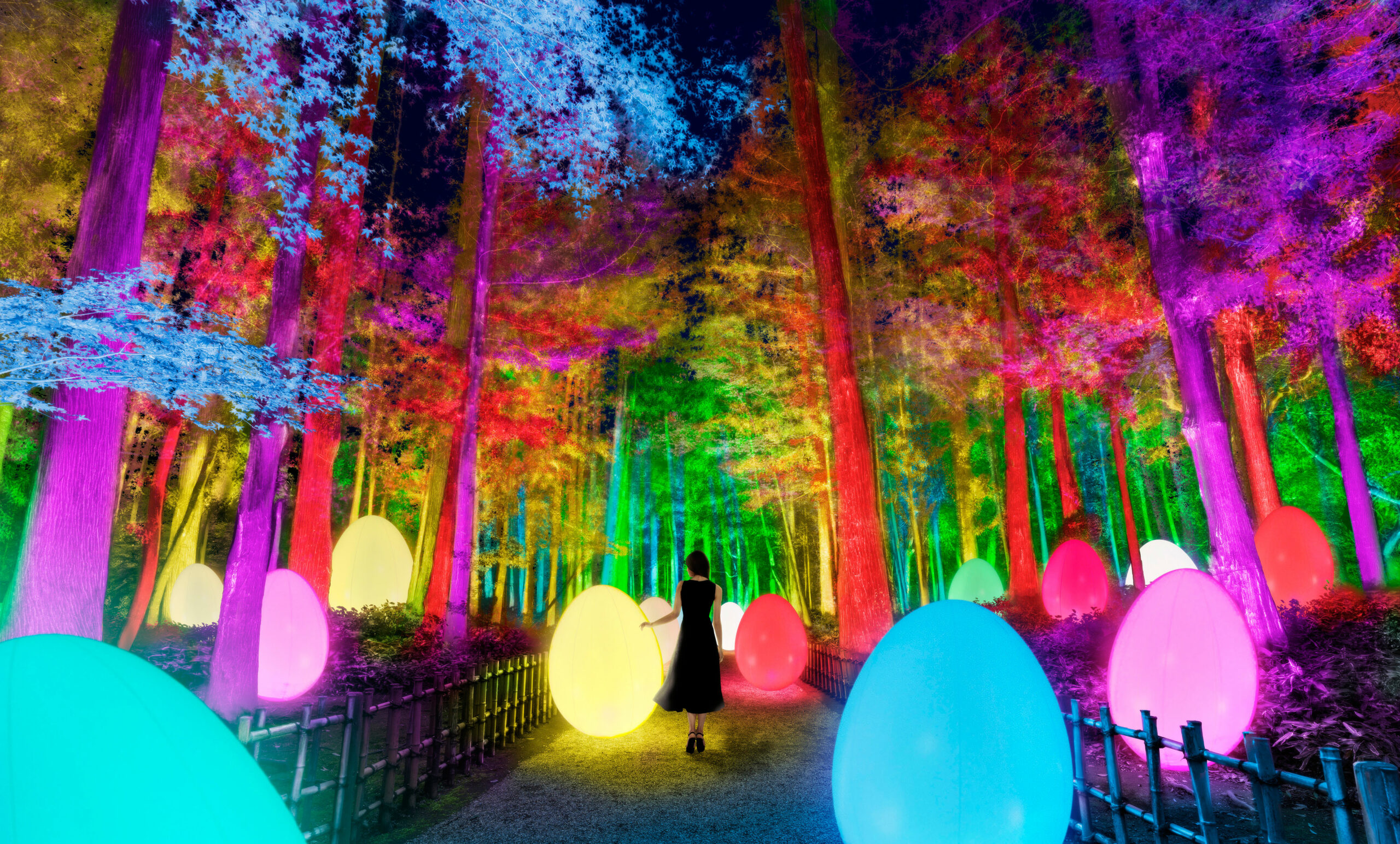 【チームラボ 偕楽園 光の祭】日本三名園・偕楽園がインタラクティブな光のアート空間に！