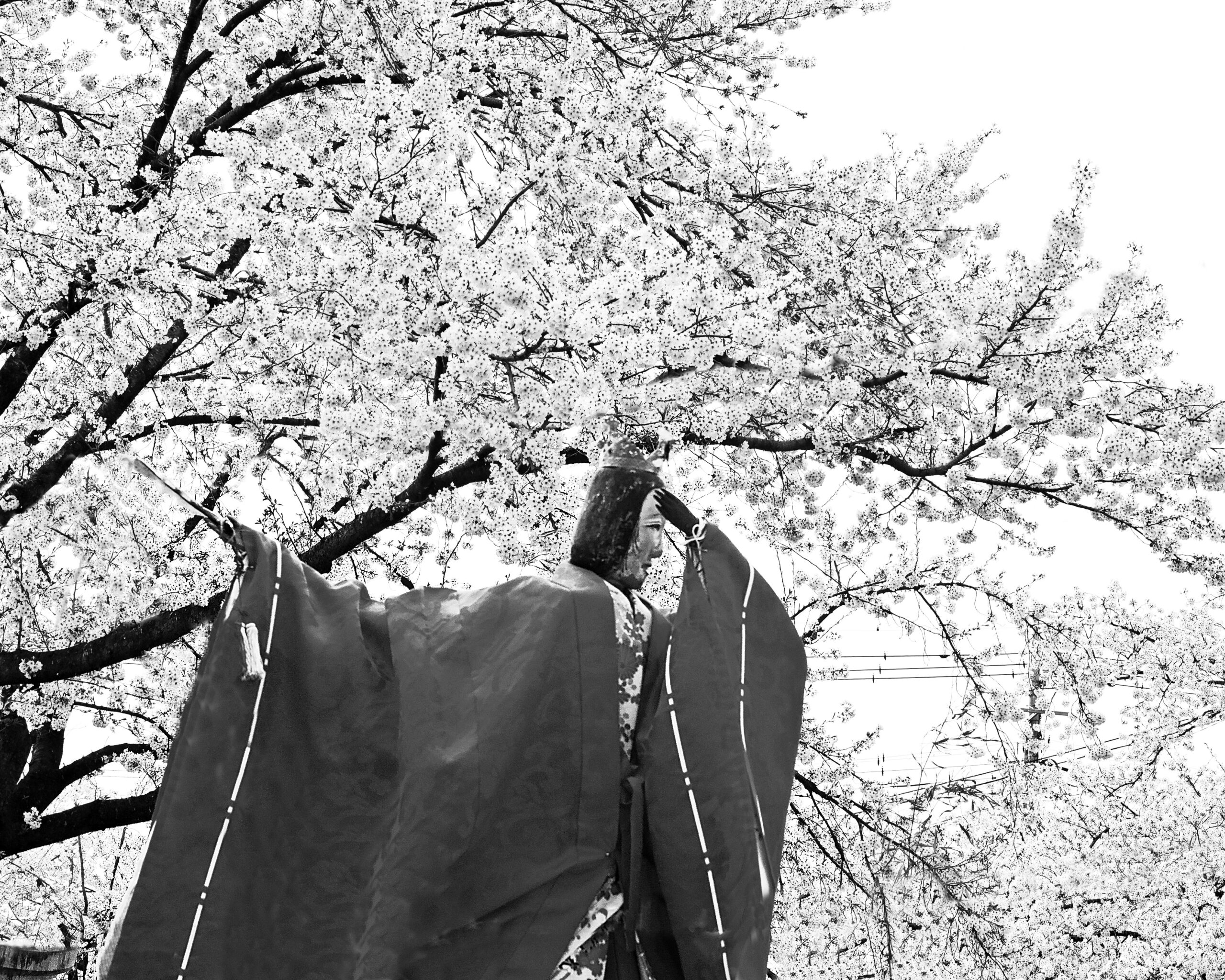 「天津司舞」幽玄な春｜観光経済新聞