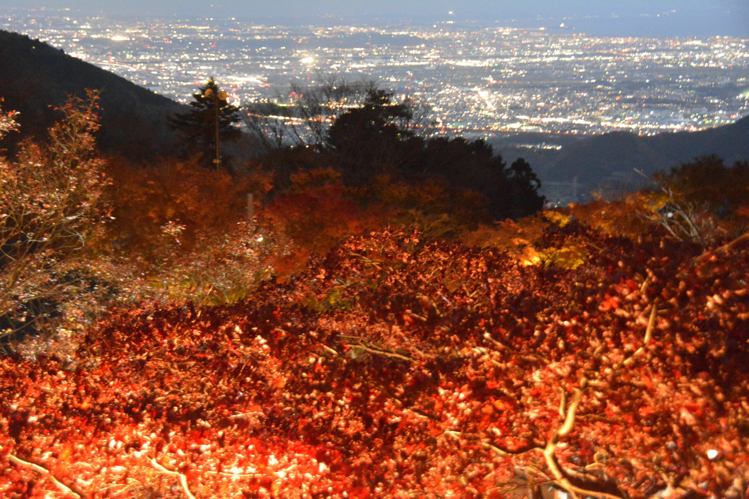 【秋の大山・夜景と紅葉】昼夜で別次元の世界が広がる大山寺や阿夫利神社
