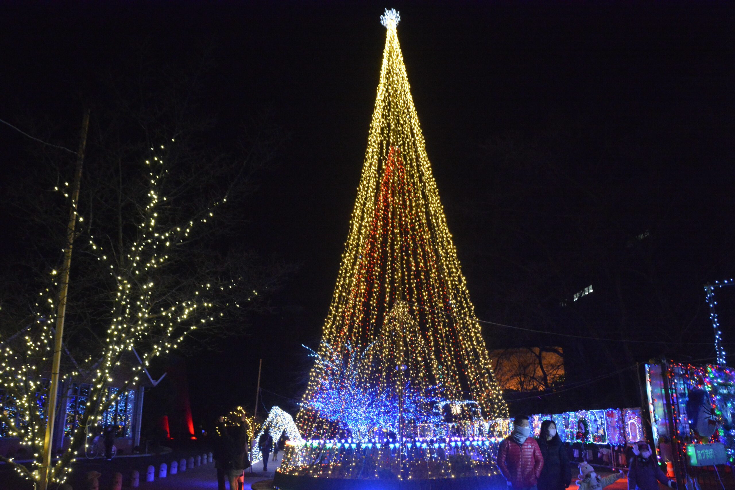 【高崎光のページェント】趣向の凝らされたイルミネーションで輝く中心街