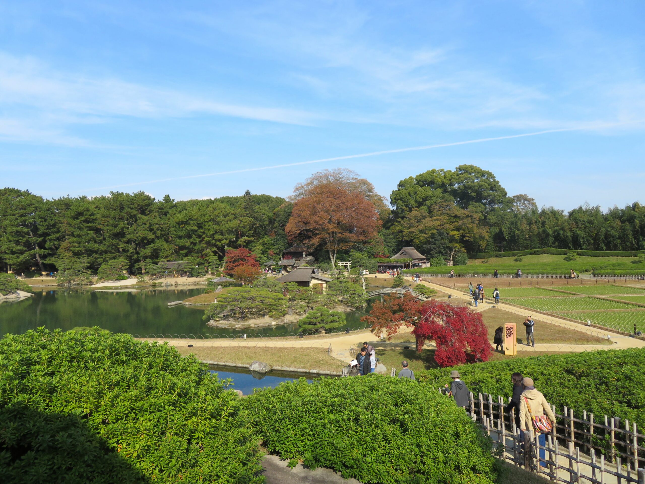 【後楽園の紅葉】岡山城下で旭川沿いが季節の彩りに包まれる日本三名園