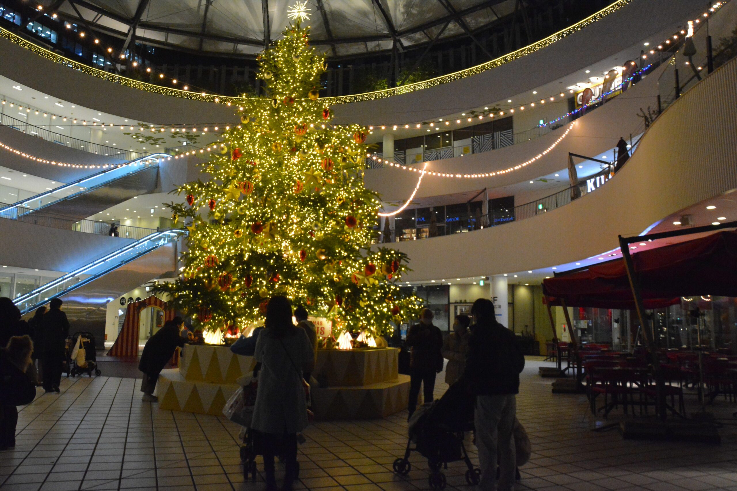 【横浜ベイクォータークリスマスサーカス】シャンパンスパークで輝くツリー