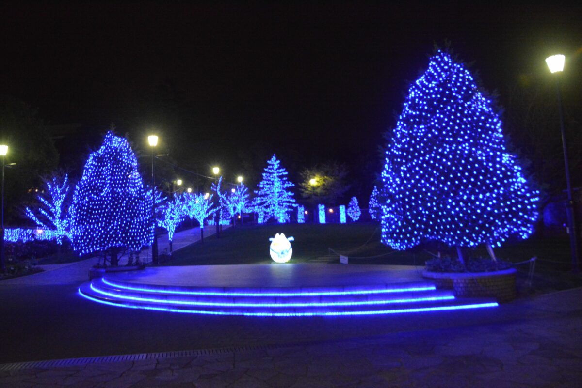 【アメリカ山公園・スイートメモリー】青色モノトーンのイルミネーション