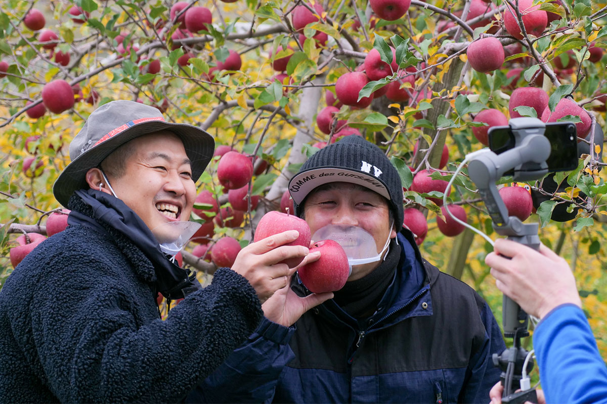 最高級りんごと農家さんを独り占め！おうちで体験するオンライン収穫ツアー（青森県平川市）