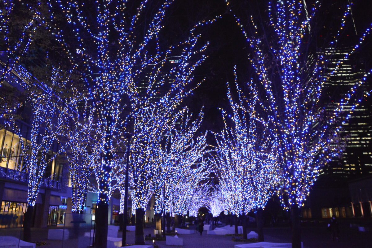 【ヨコハマミライト】みなとみらい地区の発展を実証するイルミネーション