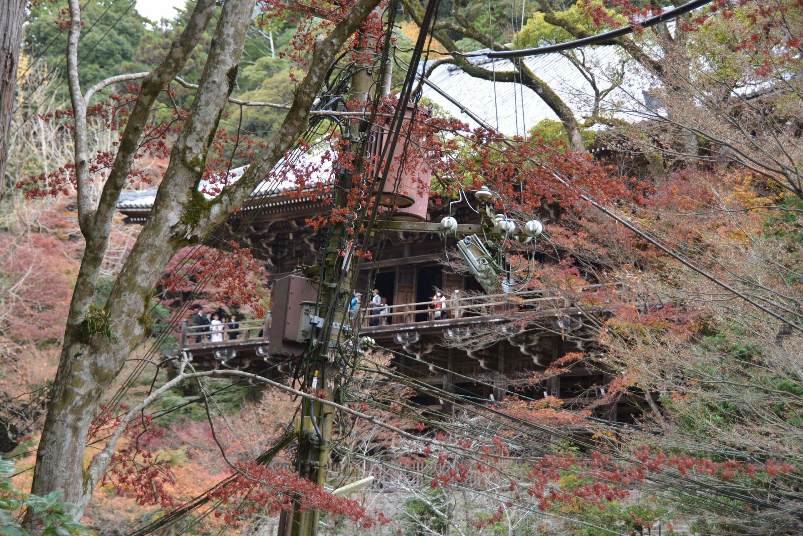【書写山・秋の探訪】弁慶が修行を積んだと伝わる姫路市の圓教寺を彩る紅葉