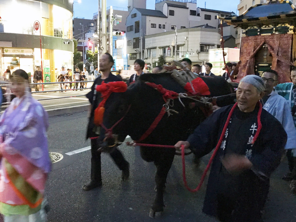 「牛嶋神社祭礼」歴史に深き牛に囲まれた神社｜観光経済新聞