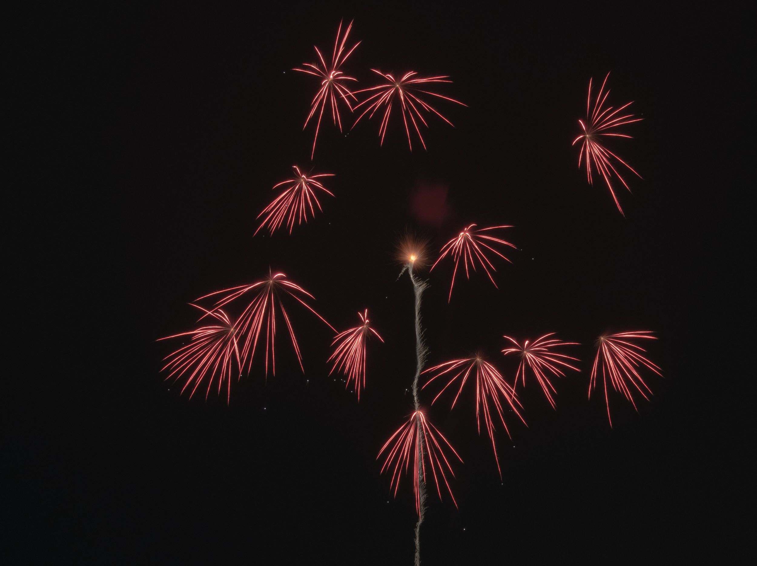 「除夜の花火」に願いを込めて 〜雪の新潟、心温かな町の花火〜