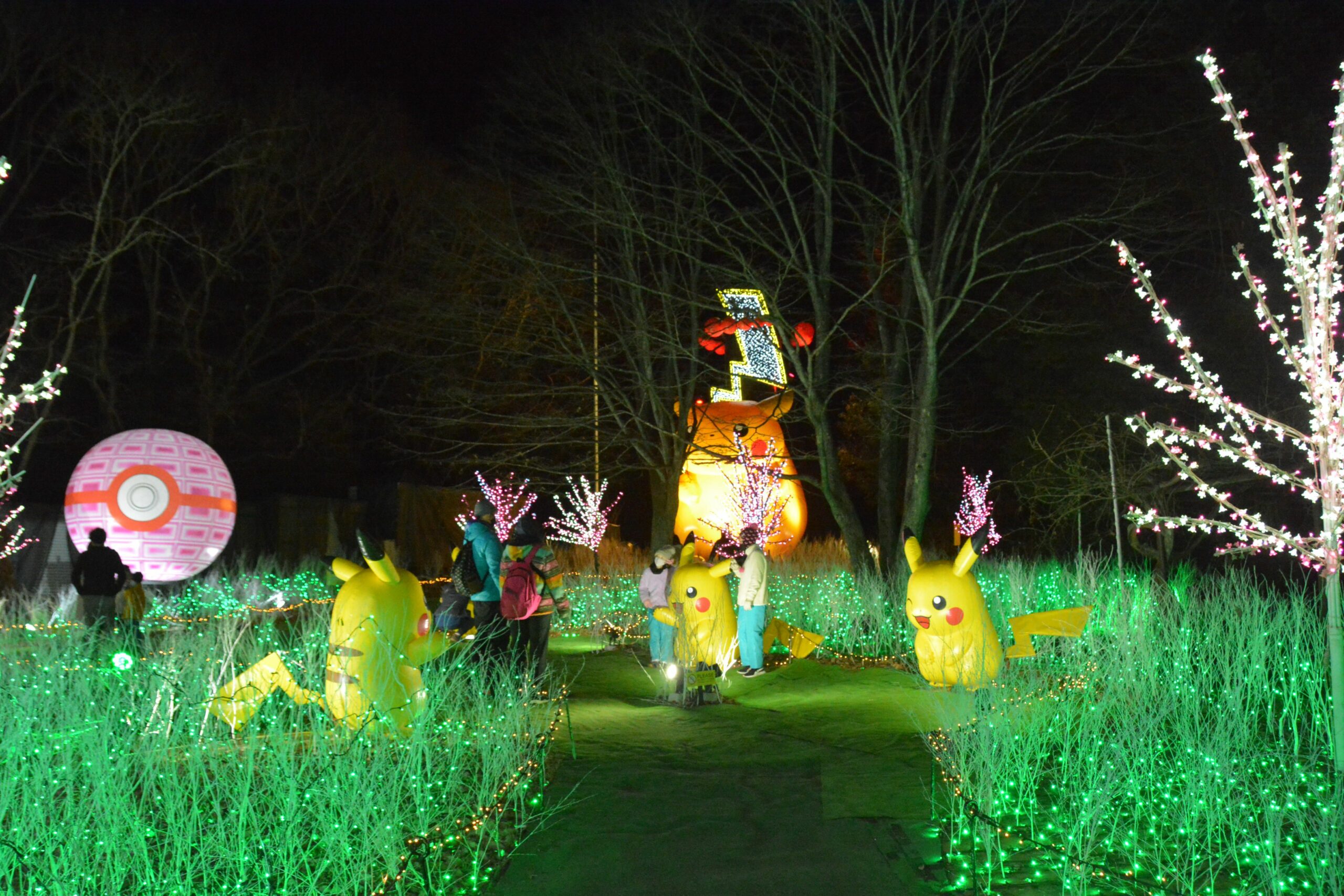 【さがみ湖イルミリオン】プレジャーフォレストの関東三大イルミネーション