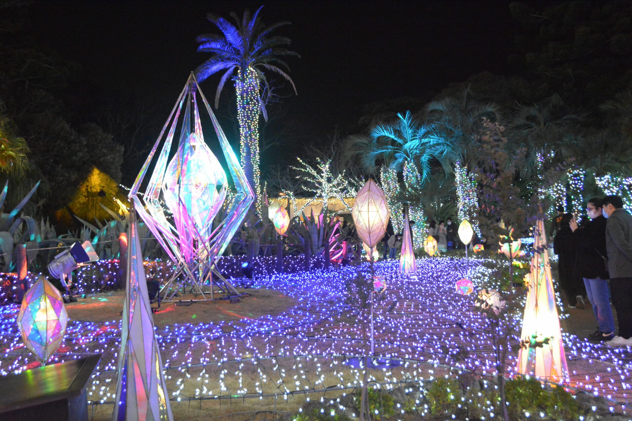 【湘南の宝石】江の島の隅々を鮮やかな光で彩る関東三大イルミネーション