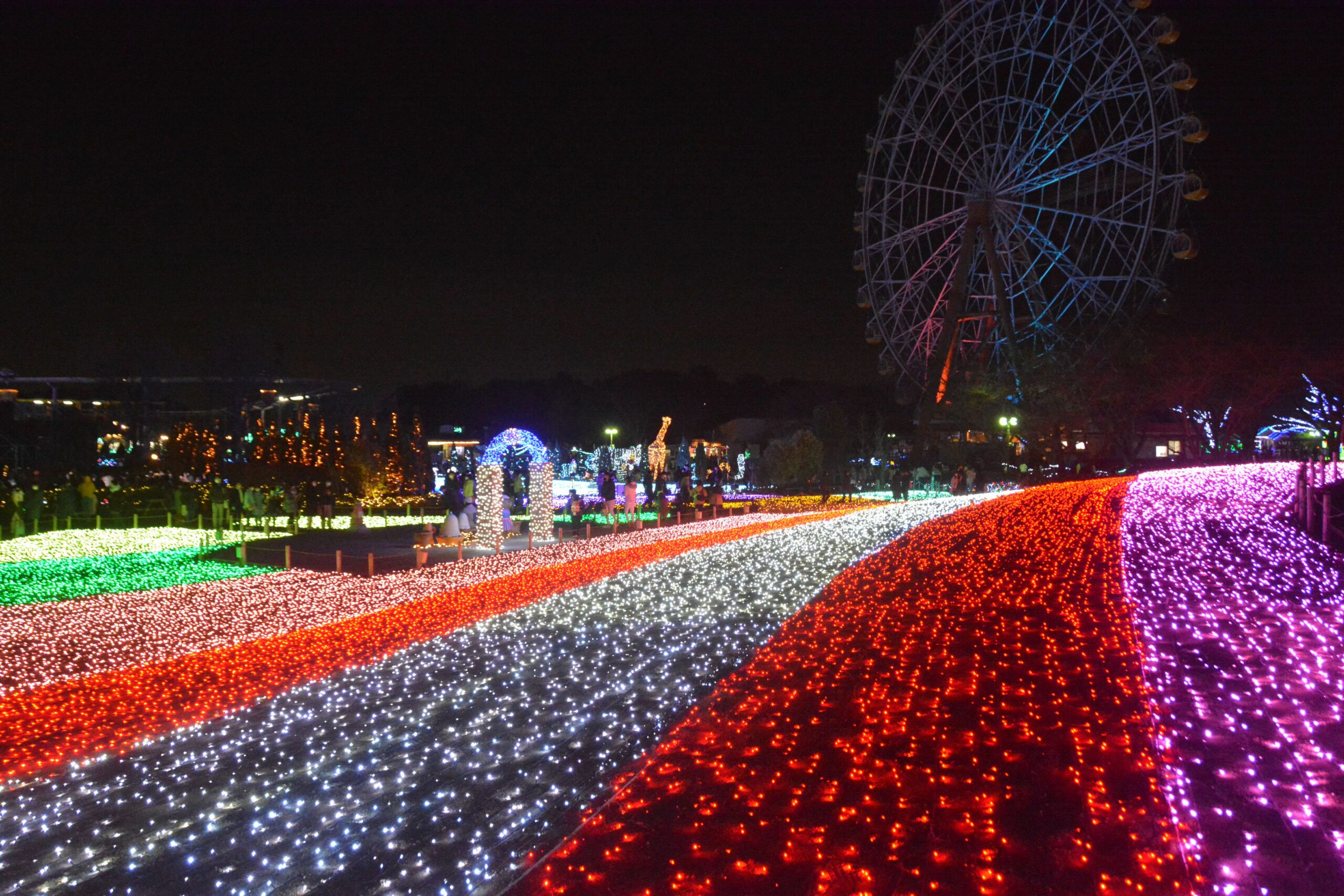 【東武動物公園ウインターイルミネーション】鮮やかに光輝く動物園や遊園地