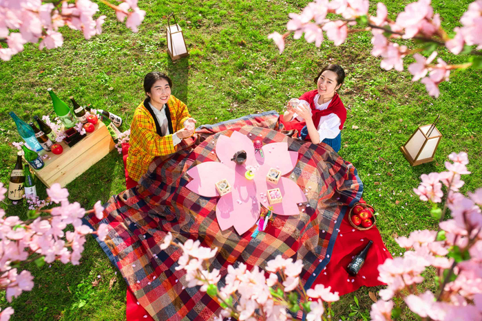 こたつで温まりながら花見酒を楽しめる「花見こたつ」青森屋にて4月20日から開催